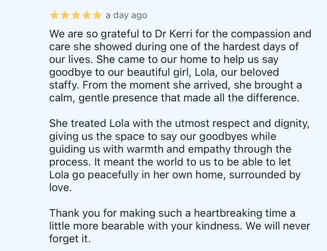 In Loving Memory of Sweet Lola🌈🤍
Thank you for your kind words and for entrusting me to help
.
.
.
#pawsandrelaxmobilevet #mobilevet #lowstressvet #inhomepeteuthanasia
#rainbowbridge #peacefulpeteuthanasia #furangel #compassionatevetcare #googlereview #thankyou