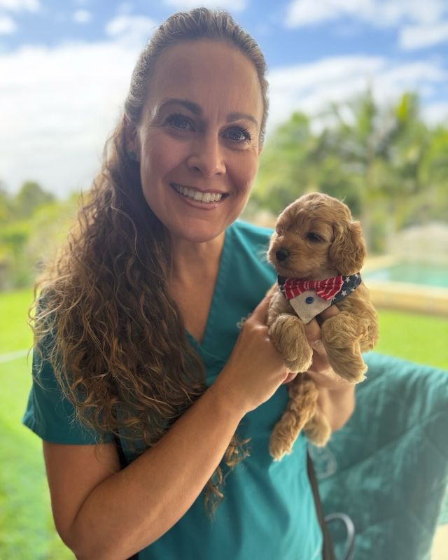 Puppies on a Friday are always a treat! 🐶  What a great way to start another glorious long weekend on the Gold Coast!☀️🐾
.
.
.
#pawsandrelaxmobilevet #lowstressvet #mobilevet #veterinarian #familyowned #homevet #goldcoast #goldcoastpets #goldcoastdogs #goldcoastcats #goldcoastpuppies #cavoodle #cavoodlepuppies