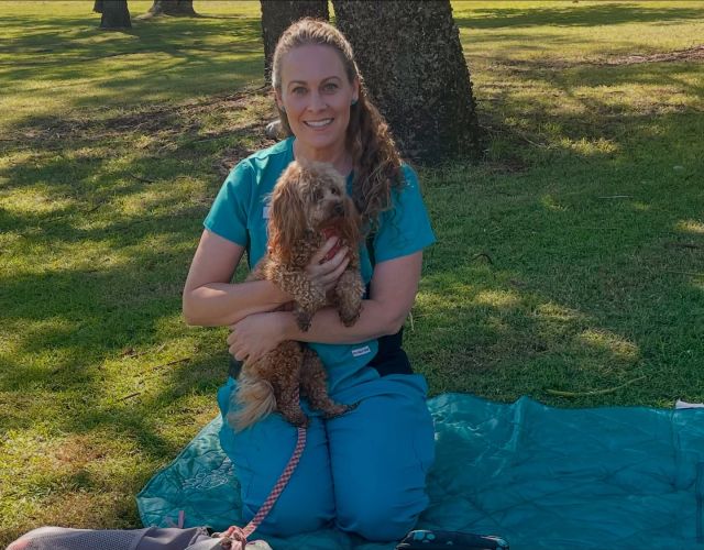 Sweet Susie enjoying her outdoor home visit during this beautiful Autumn weather on the Gold Coast!🩵🐾
.
.
.
#pawsandrelaxmobilevet #lowstressvet #mobilevet #familyowned #homevet #veterinarian #goldcoastpets #goldcoastdogs #cavoodle